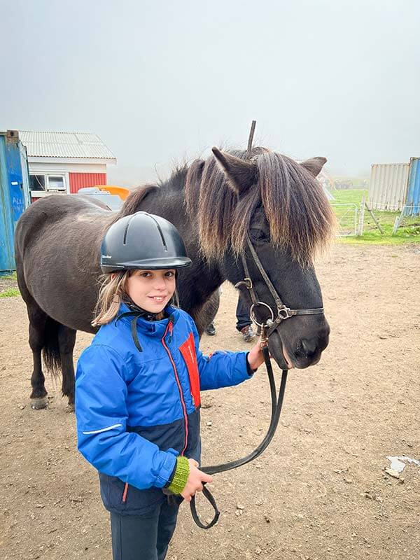 Bambina con un cavallo islandese