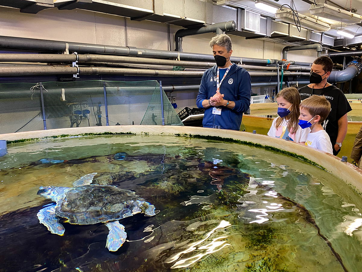 vasca per la cura delle tartarughe due bambini osservano con il biologo