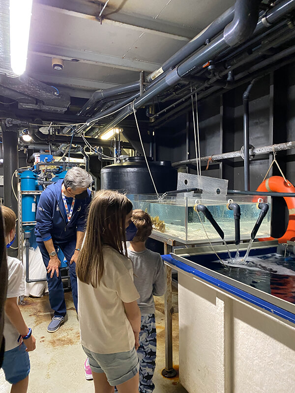 bambini guardano le vasche curatoriali dell'acquario dietro le quinte