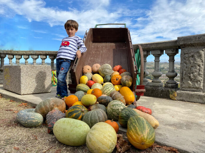 fiera della zucca di piozzo