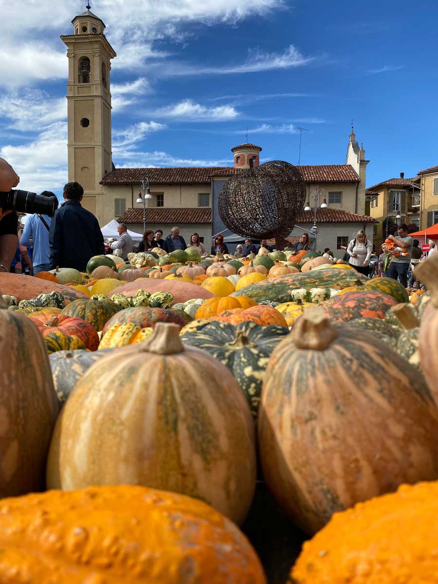 piozzo zucche