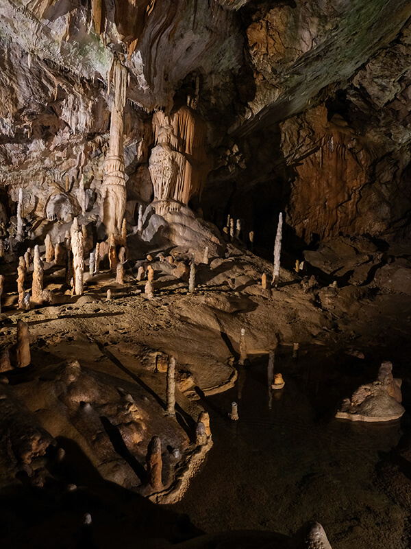 stalattiti e stalagmiti nelle grotte di postumia