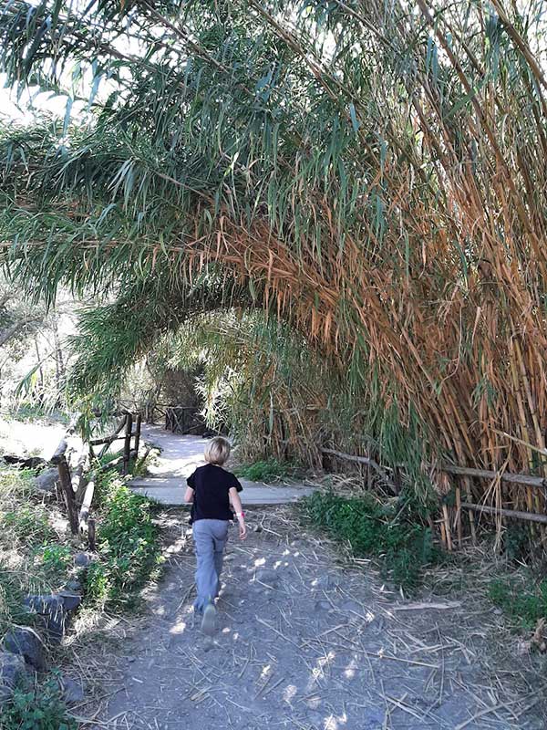 Gole di Alcantara bamboo