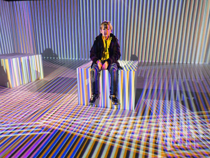 Mostre per bambini a Torino