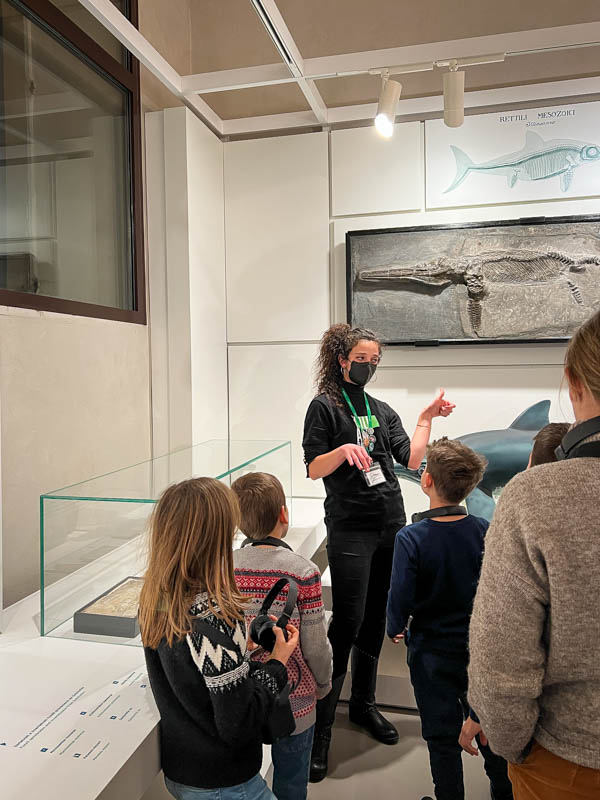 guida con bambini al museo di storia naturale di Pavia