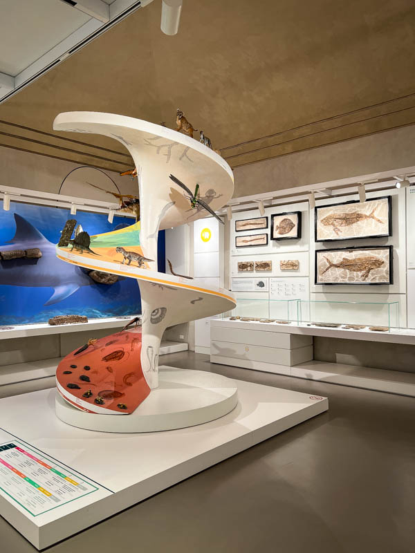 sala dedicata all'evoluzione nel museo di storia naturale di Pavia Kosmos