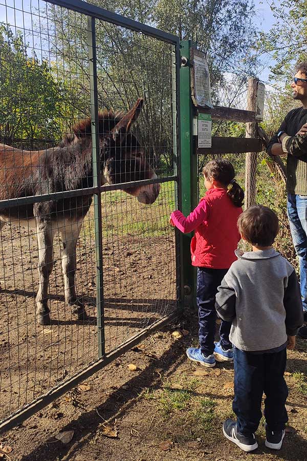 animali e bambini all'Oasi La Rizza