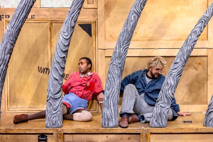 Spettacol odi teatro per bambini a Torino: Pnocchio