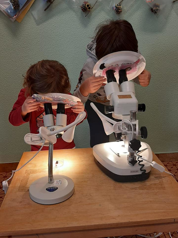 bambini al microscopio