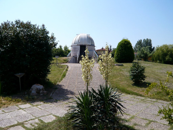 planetario sullo sfondo e piante in primo piano