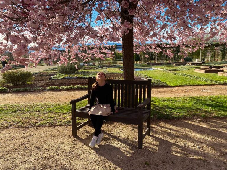 Fioritura  dei ciliegi a Torino e pic-nic di primavera 2025
