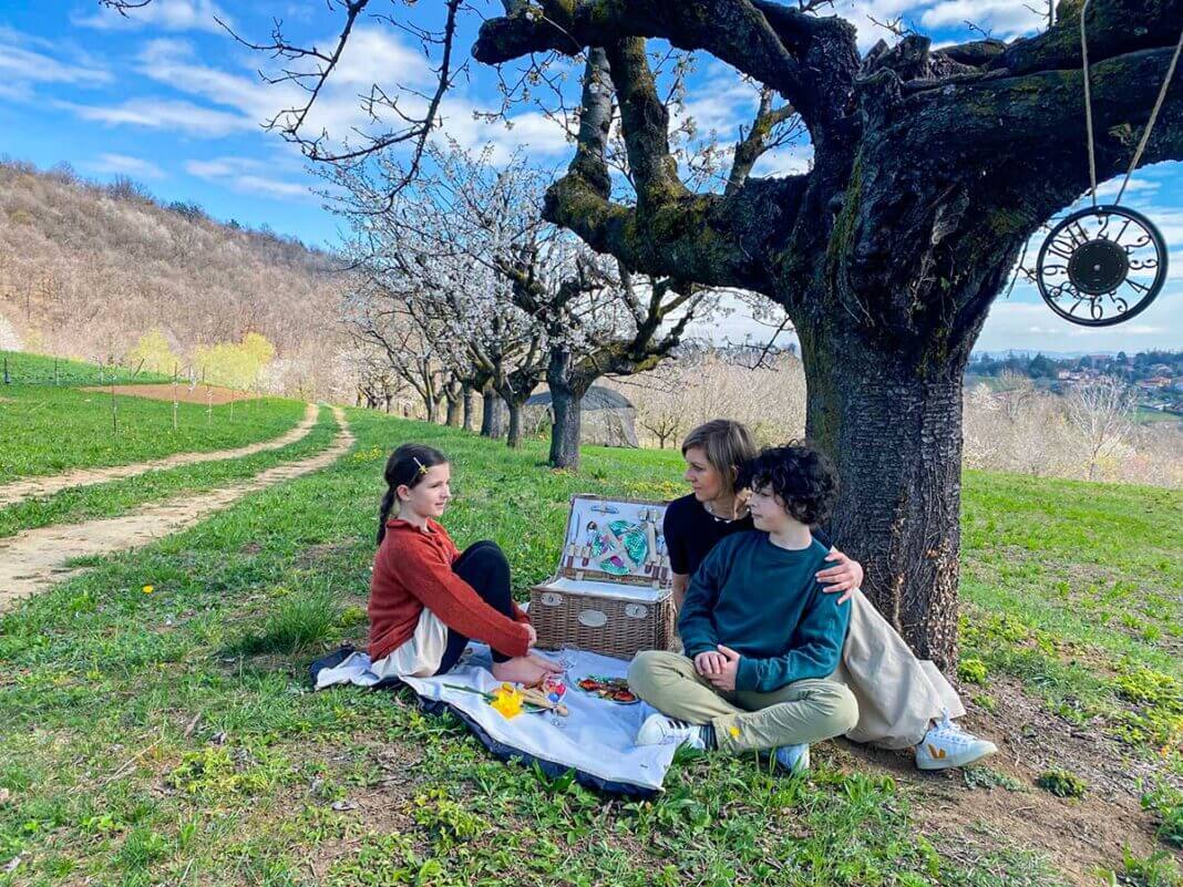 fioritura ciliegi italia