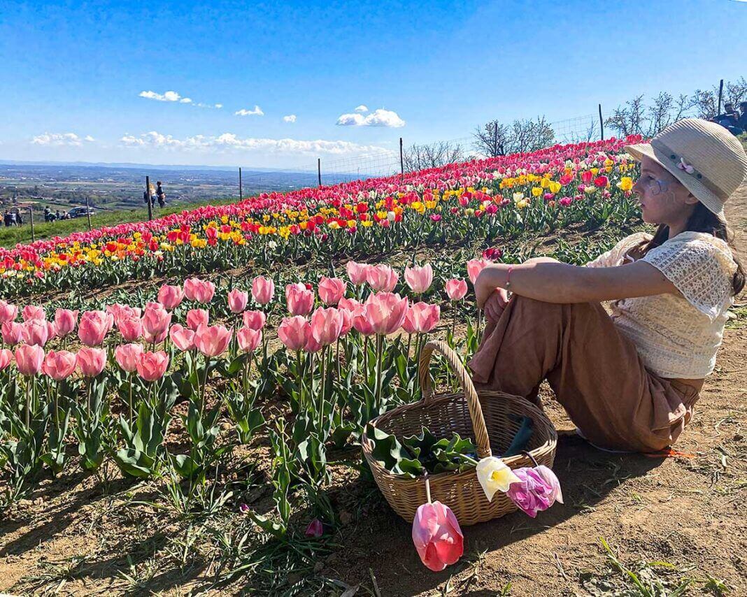 Bambina in Campo di tulipani a Torino