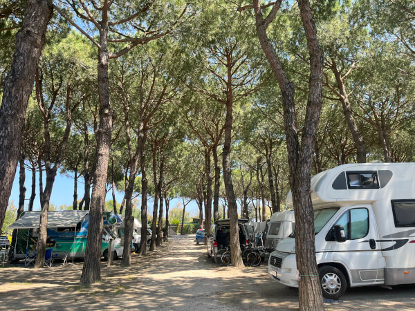 camper all'ombra