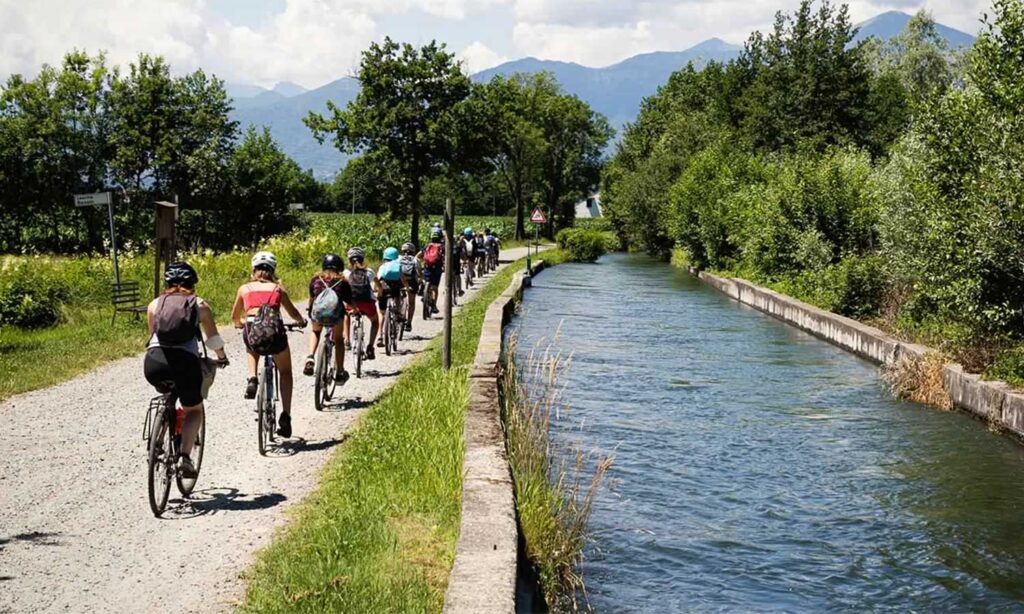 2 Portabottiglie Tattici In Nylon Regolabili, Con Coulisse E Moschettoni, Per Escursioni E Bicicletta