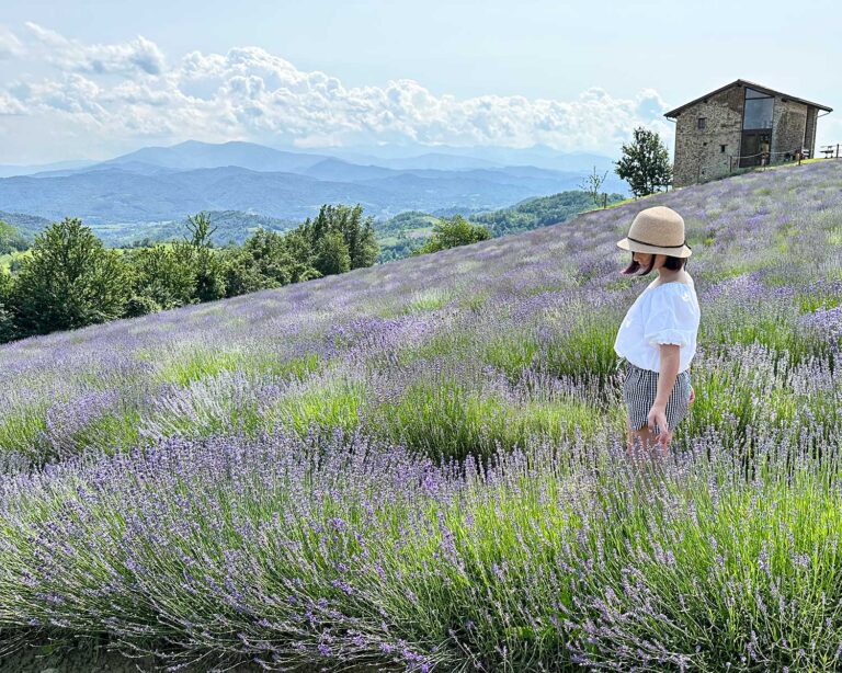 Gita ai Campi di Lavanda a Sale San Giovanni