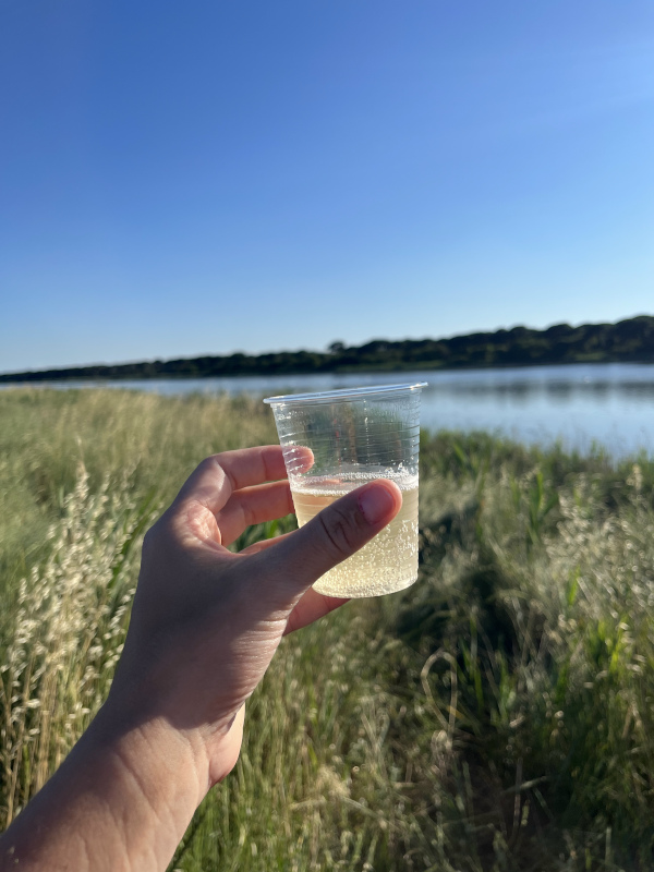 bicchiere aperitivo davanti alla laguna