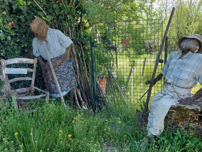 spaventapasseri a vendersi