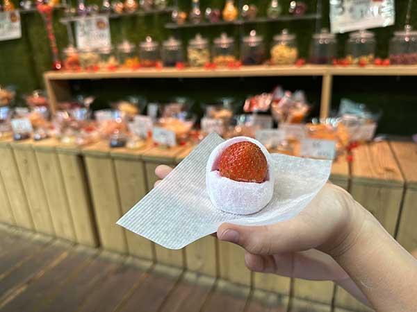 Mochi Nishiki Market