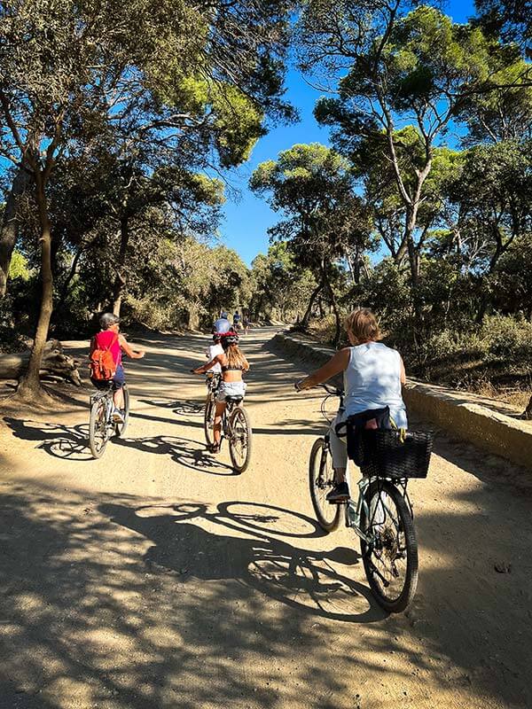 due adulti e due bambini percorrono in bici un sentiero ciclabile nella pineta a Porquerolles