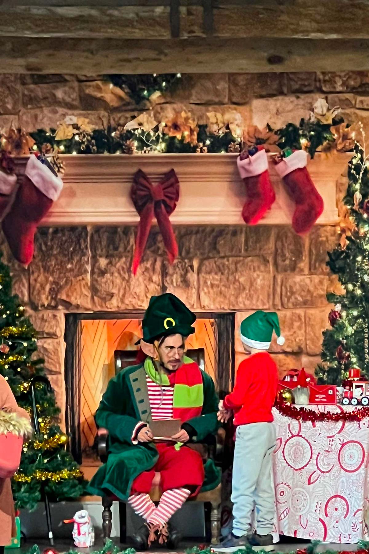 elf on the shelf familyDays 2