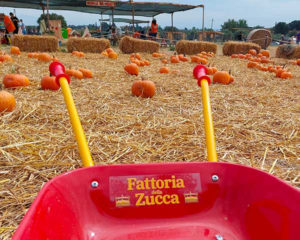 fattoria della zucca