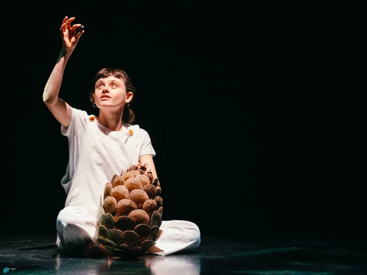 scena dello spettacolo pinolo a segni