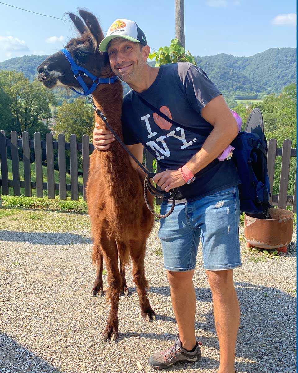 trekking alpaca friuli