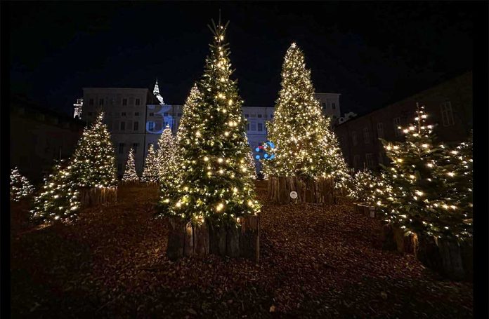 Natale torino boschetto piazzetta reale