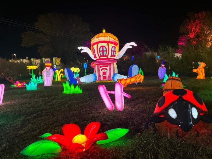 alice lost inside you rimini - installazioni luminose