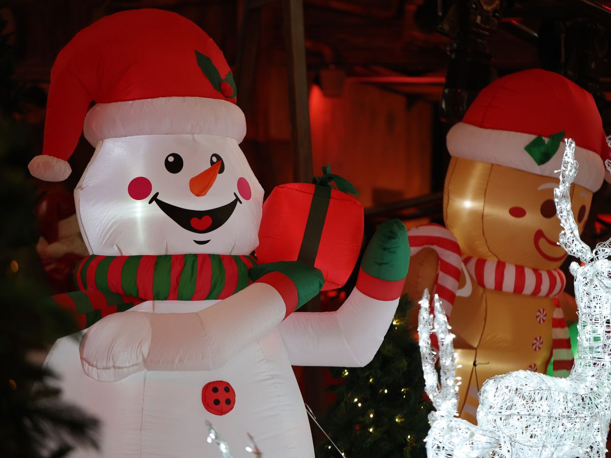 pupazzo di neve e pan di zenzero a luna farm per Natale