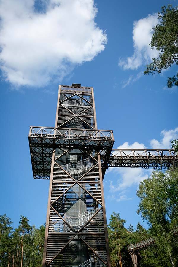 torre tra gli alberi nel Parco Regionale Anykščių
