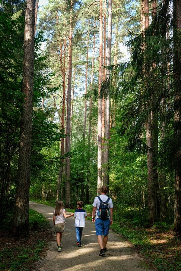 due bambini camminano con il papà nel sentiero nel bosco nel Parco Nazionale del Gauja