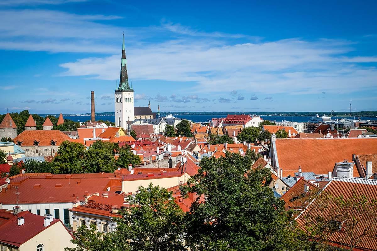 vista del centro storico di Tallinn con sullo sfondo il mare