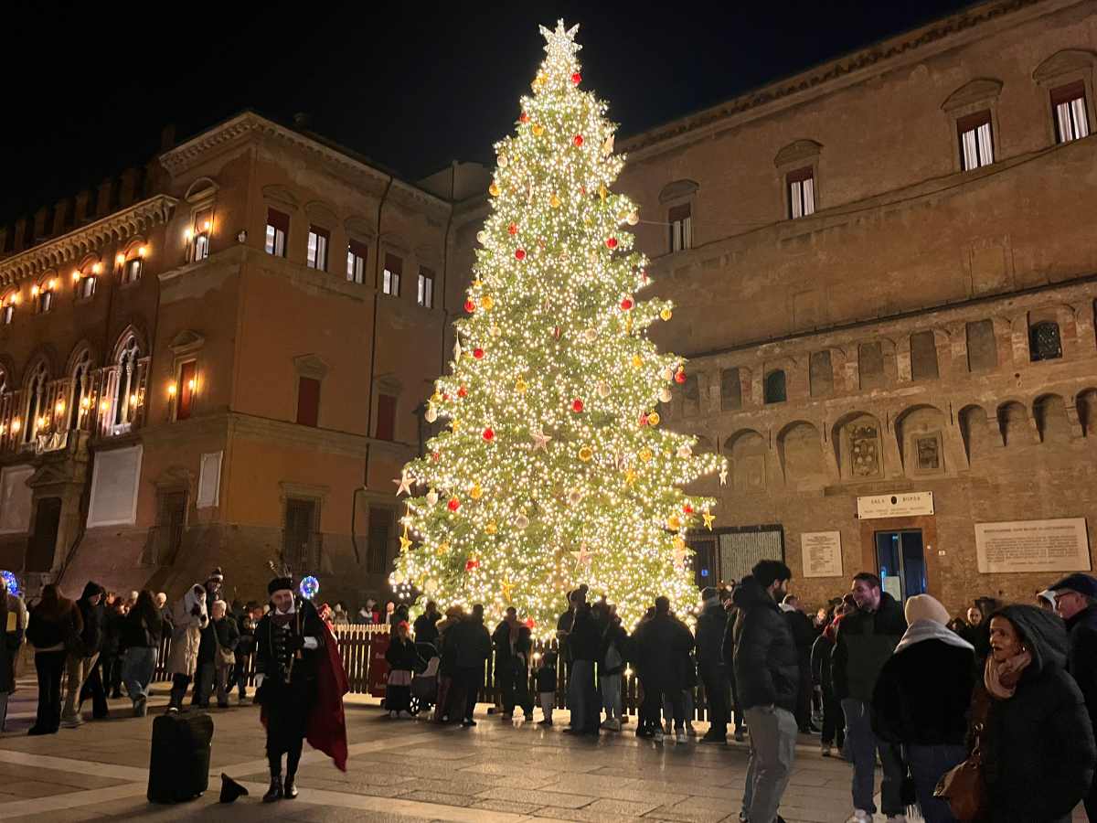 albero di natale in piazza a Bologna