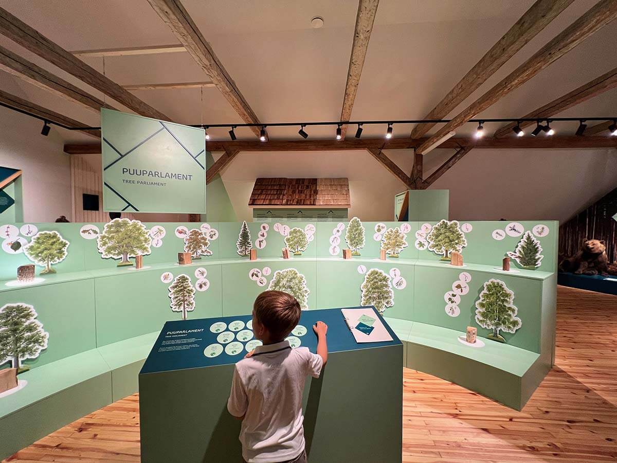 bambino gioca nel museo della foresta scoprendo i diversi alberi