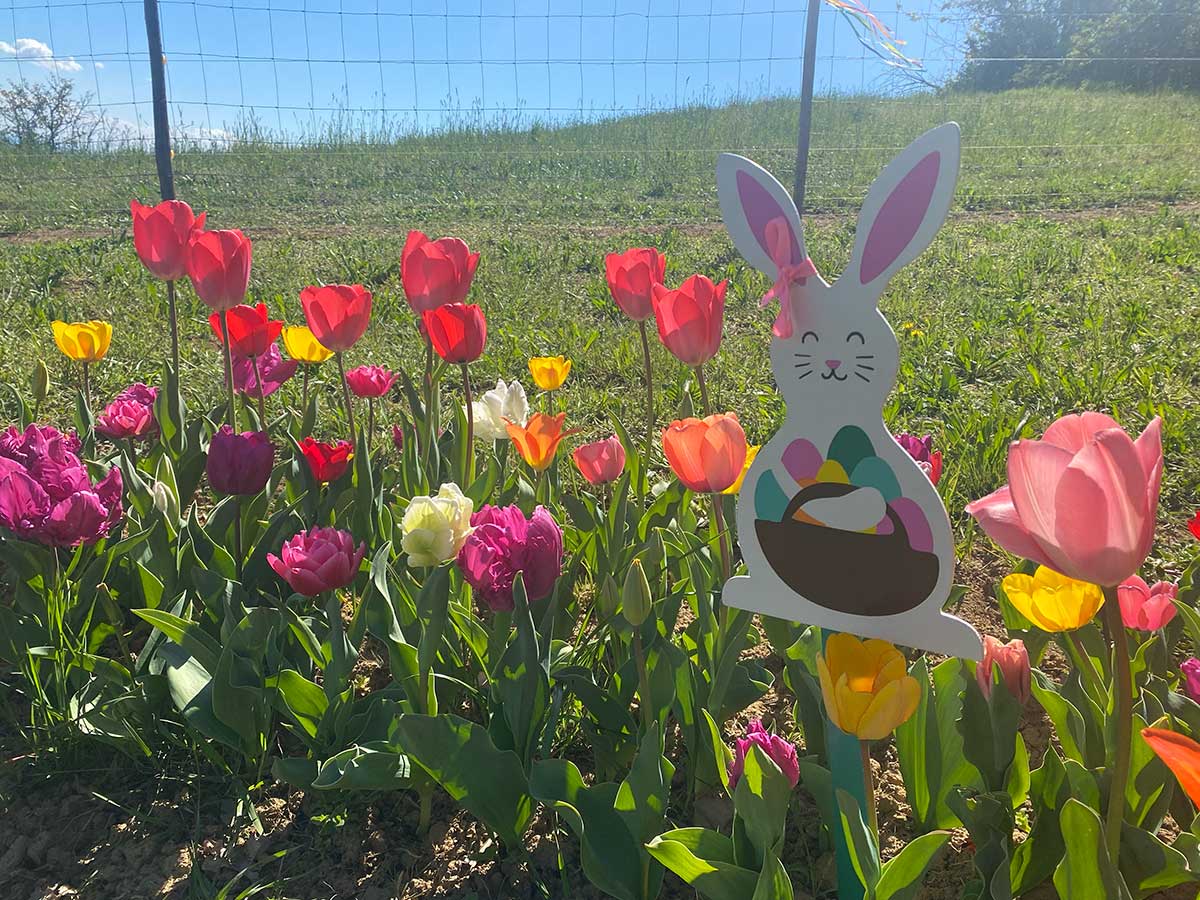 Caccia alle uova sulla collina di Torino