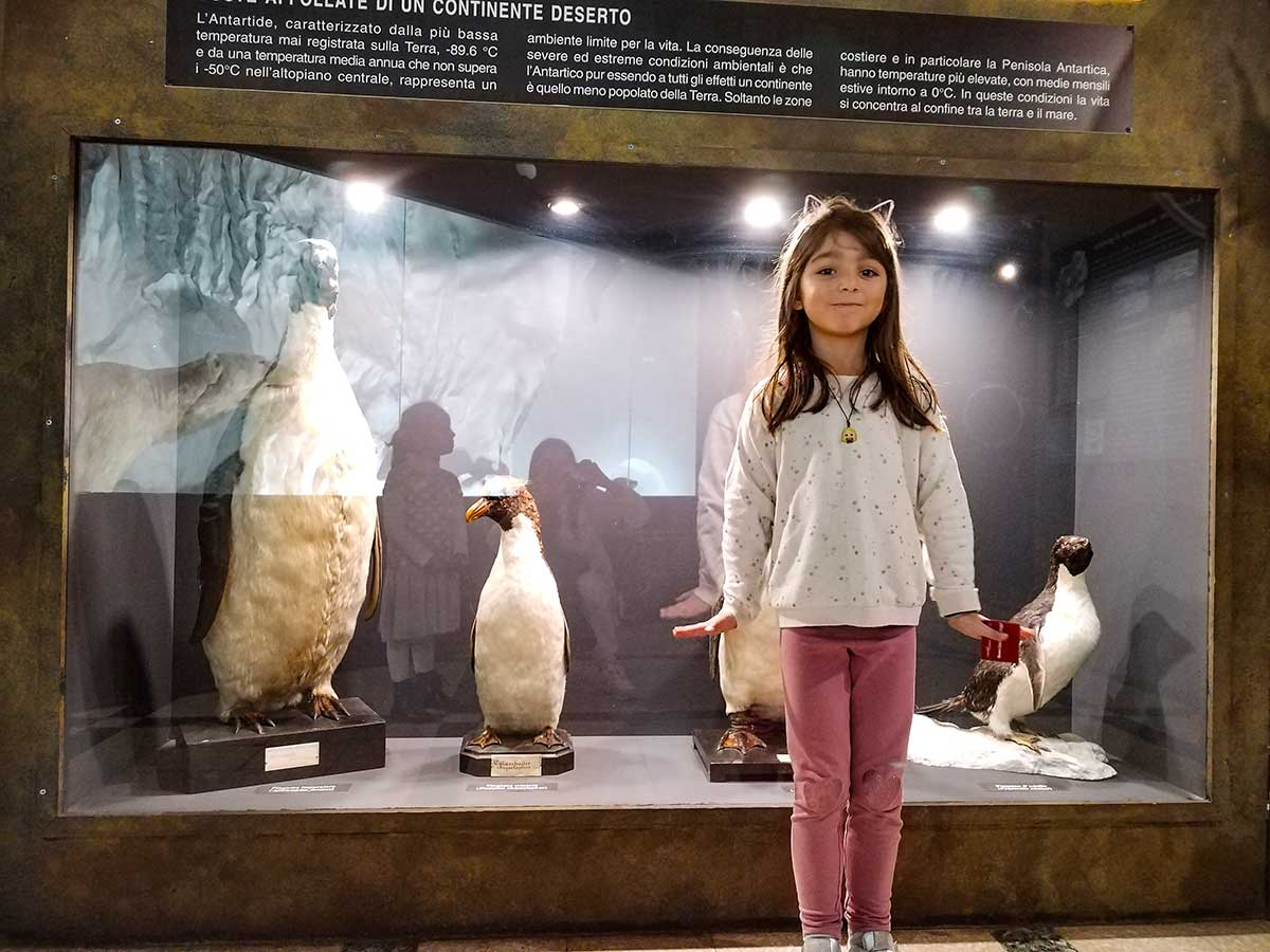 Museo zoologia Roma viaggiapiccoli