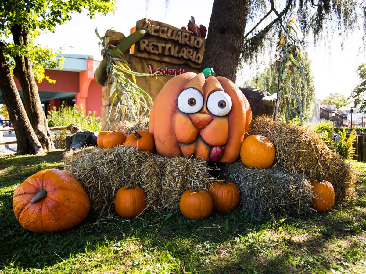 allestimenti con zucche a leolandia per halloween