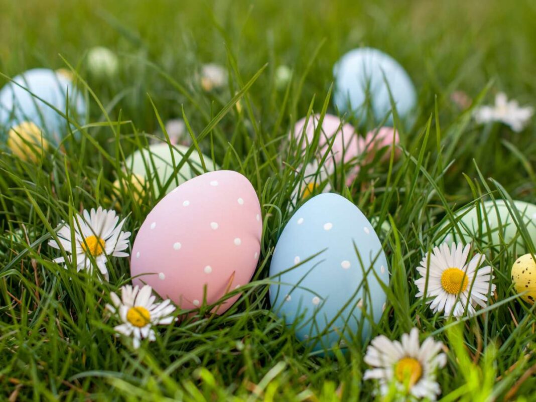 uova pasquali in mezzo al prato per eventi pasqua trentino alto adige