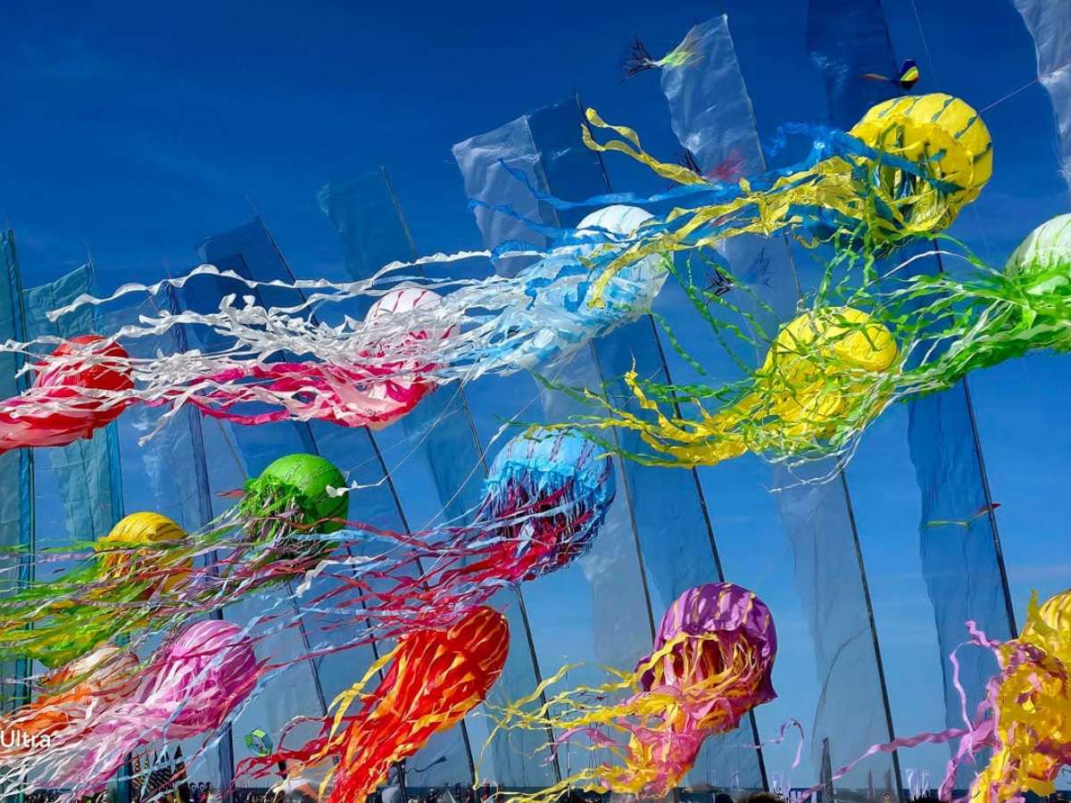 aquiloni meduse durante il festival degli aquiloni per la pace