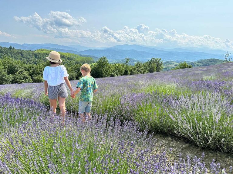 campi-lavanda-piemonte-viaggiapiccoli