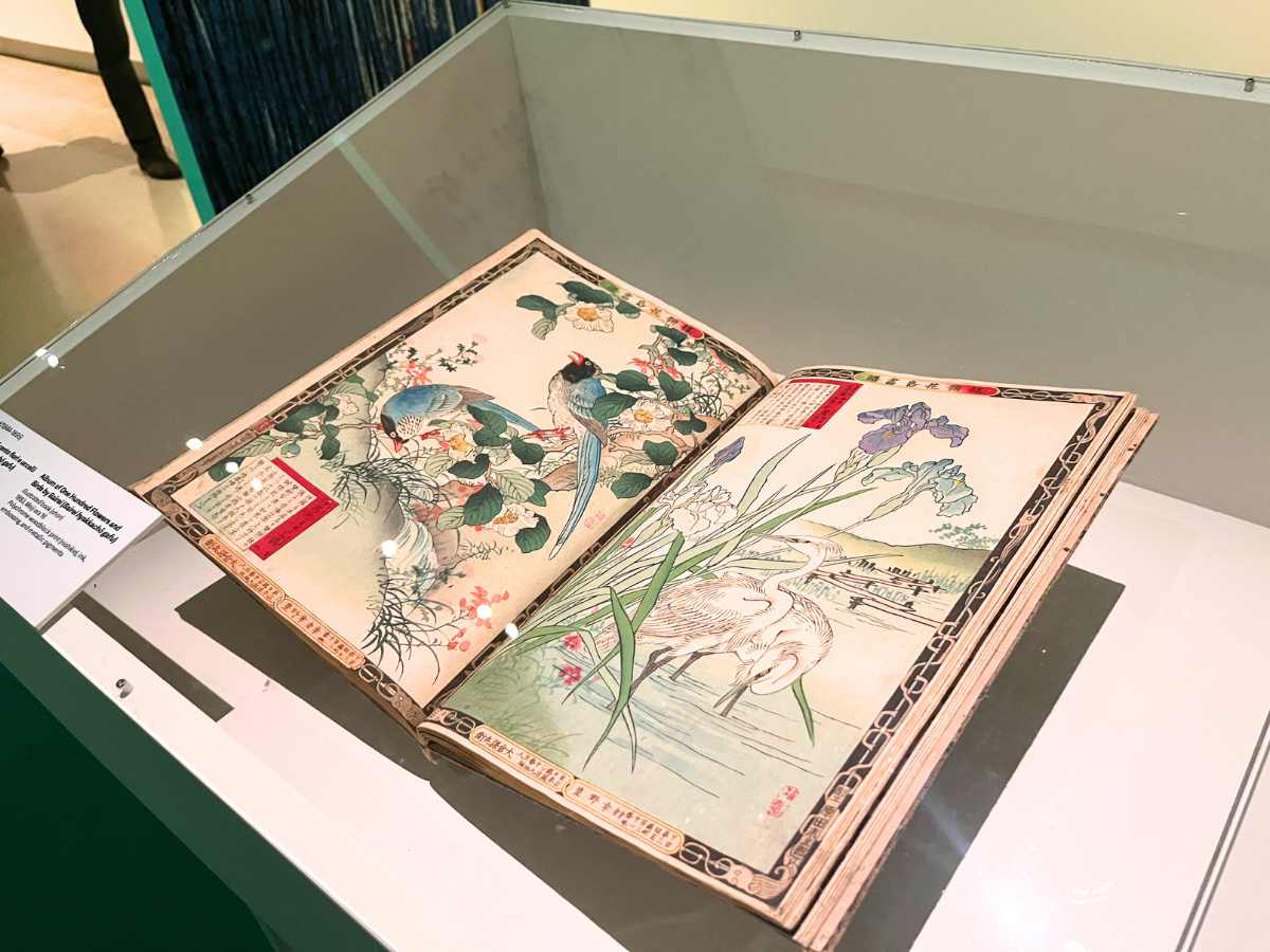 libro esposto alla mostra Graphic Japan di Bologna