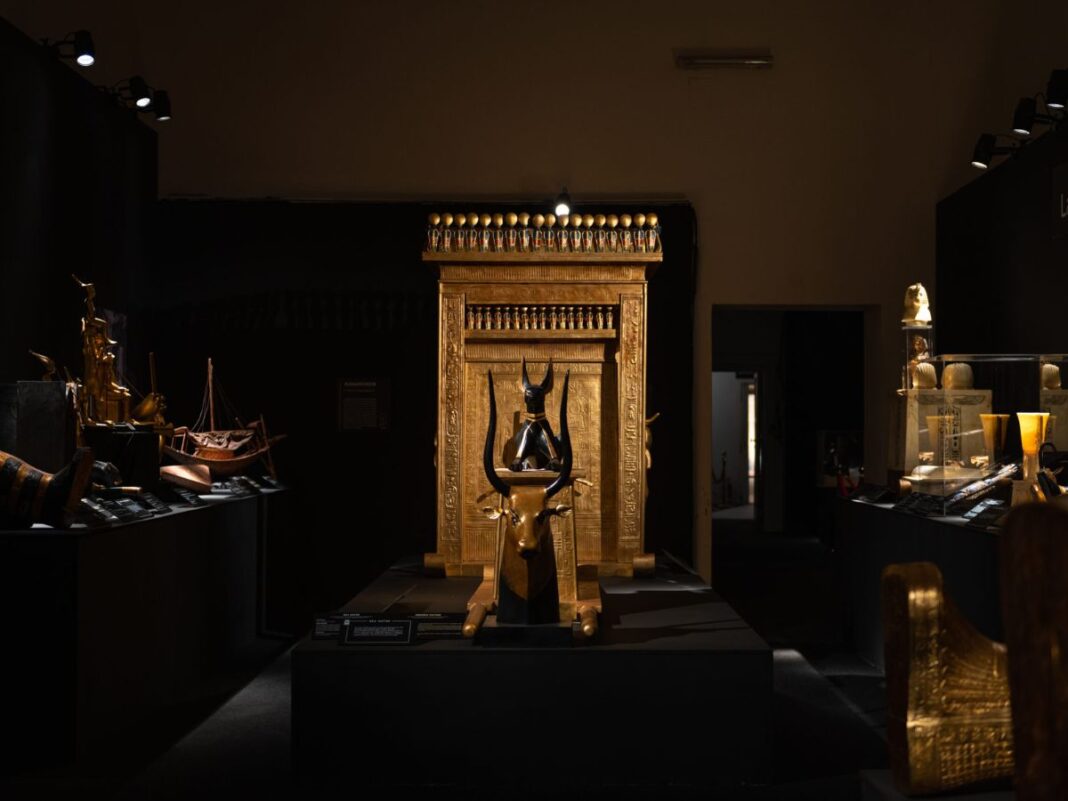 dettaglio mostra Tutankhamon bologna