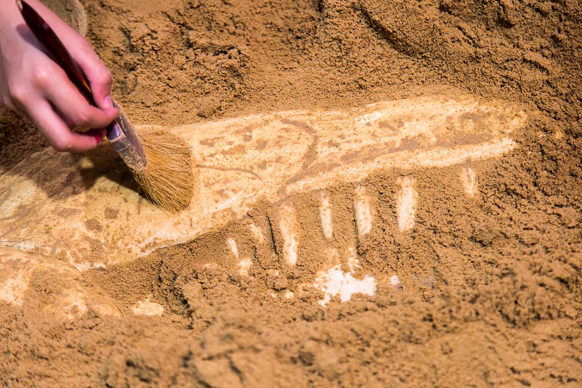 Stadio Domiziano, i  laboratori per bambini