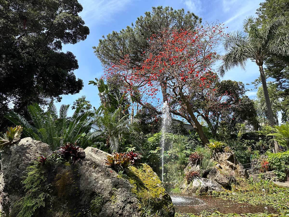 giardini della Mortella fontana