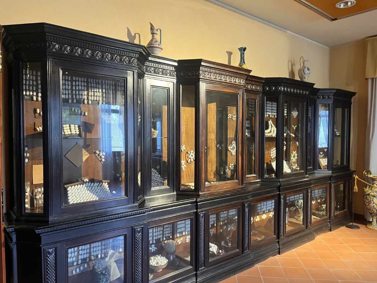 collezione bachi da seta a Esapolis, uno dei musei per bambini di Padova