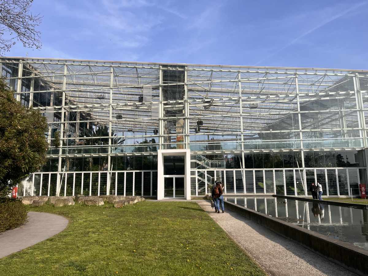 giardino della biodiversità dell'orto botanico di Padova, tra i musei da vedere con bambini