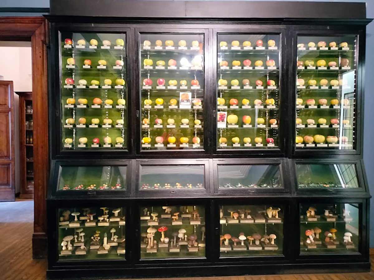 museo della frutta torino.