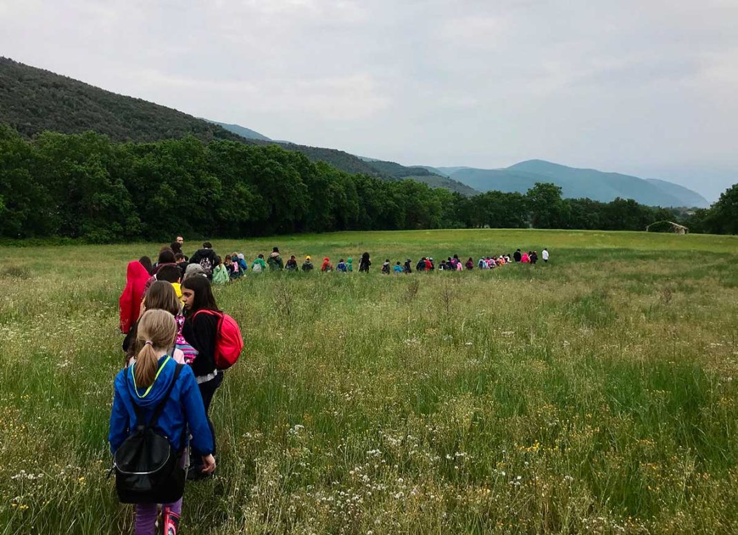 Bambini nei prati in un campo estivo in Umbri